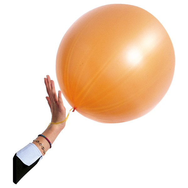Featured image for “Ballon à frapper”