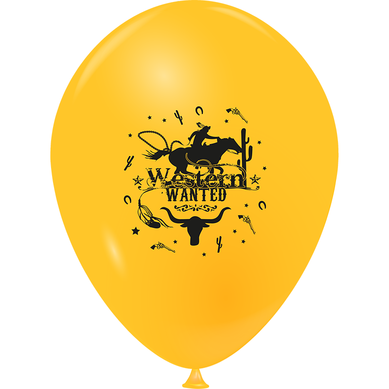 Featured image for “Ballon ambiance western”