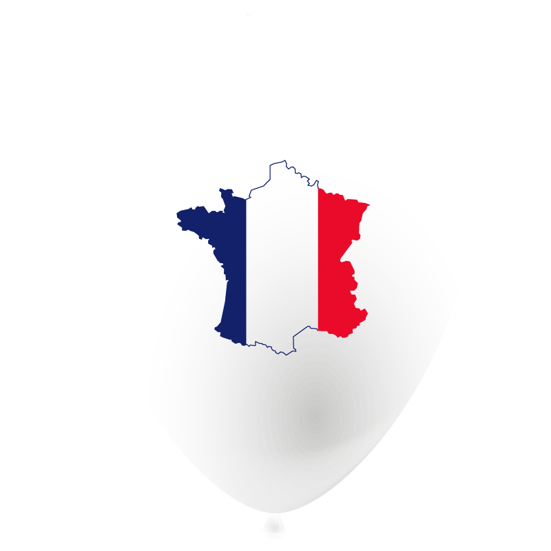 Featured image for “Ballon drapeau France”