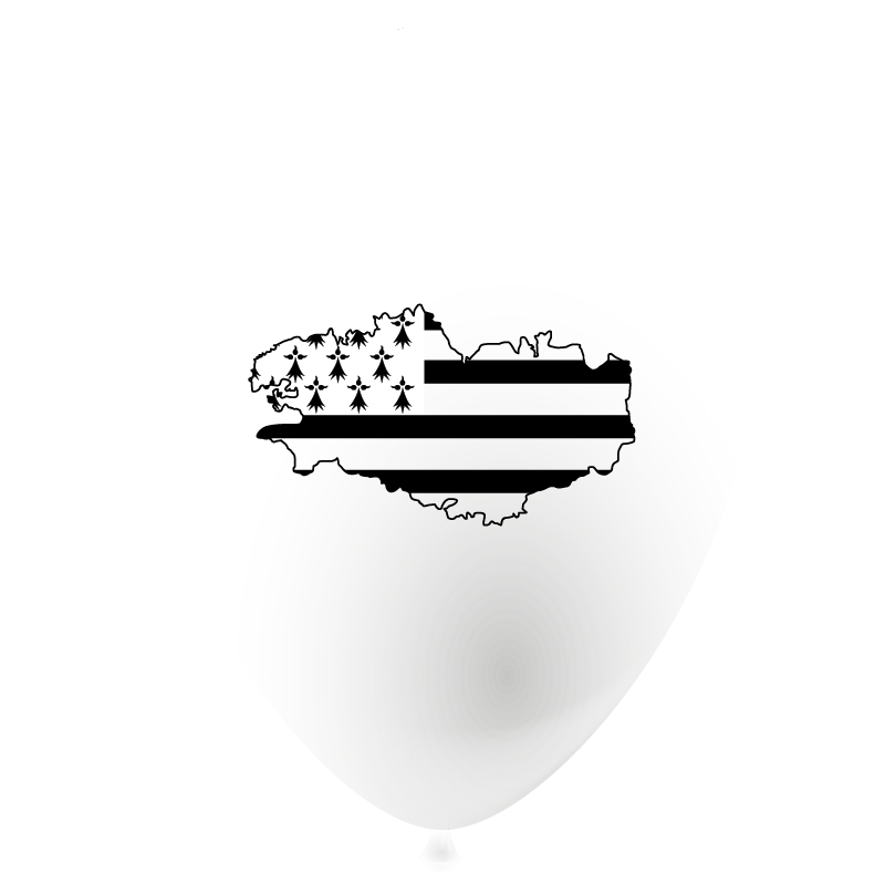 Featured image for “Ballon drapeau Bretagne”