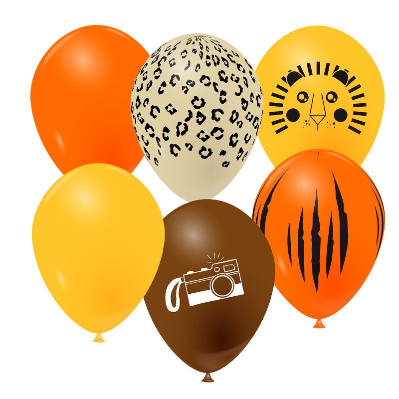 Featured image for “Ballons savane”