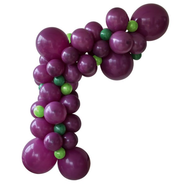 Guirlande organique vigne