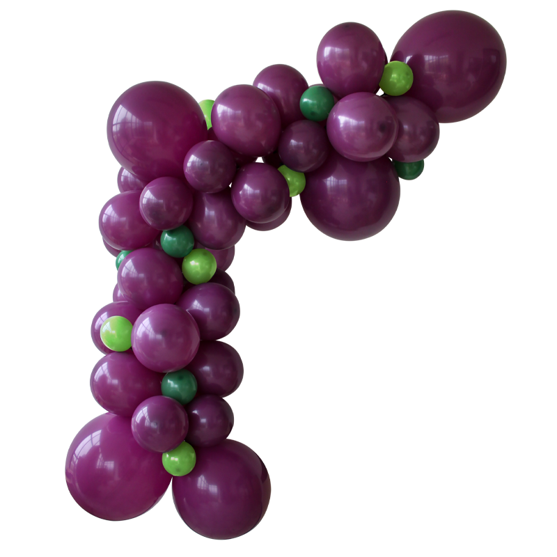 Featured image for “Guirlande organique vigne”