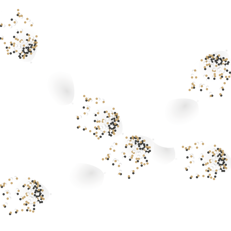Featured image for “Guirlande ballon lien avec confettis”