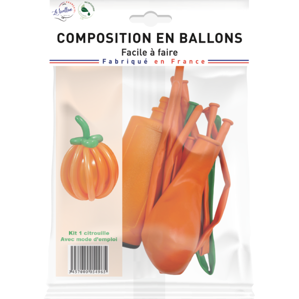 Kit citrouille – Image 2