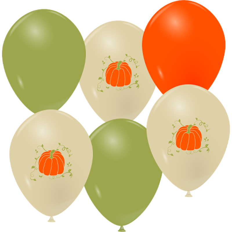 Featured image for “Ballons citrouille”