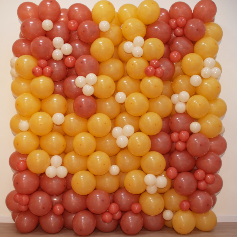 Featured image for “Mur en ballons”