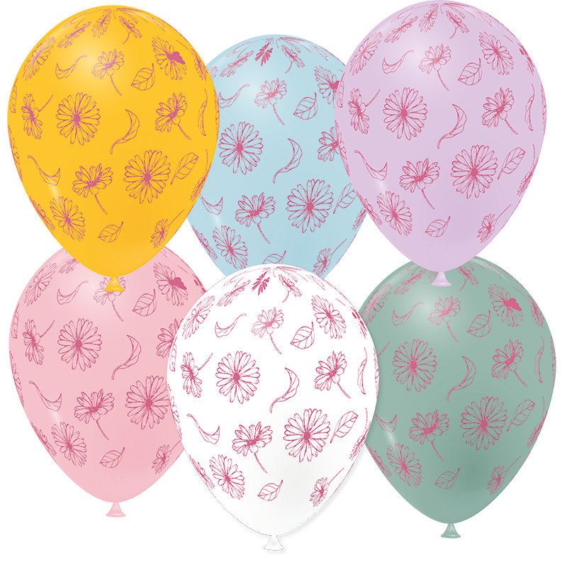Featured image for “Ballon marguerites”