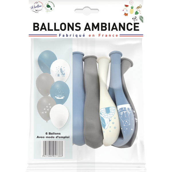 Ballons banquise – Image 2