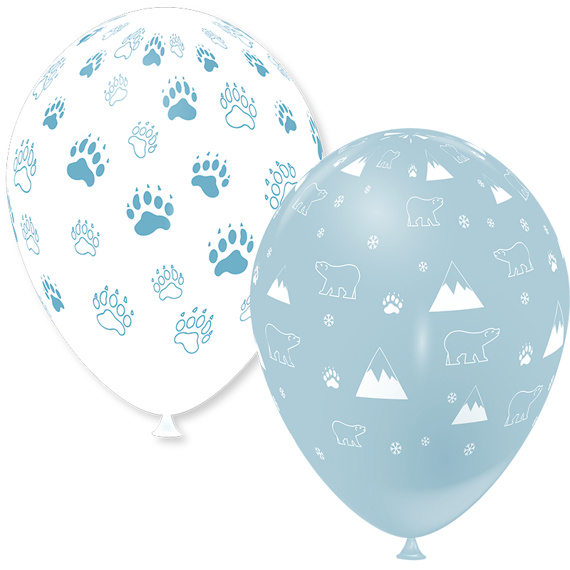 Featured image for “Ballons polaire”