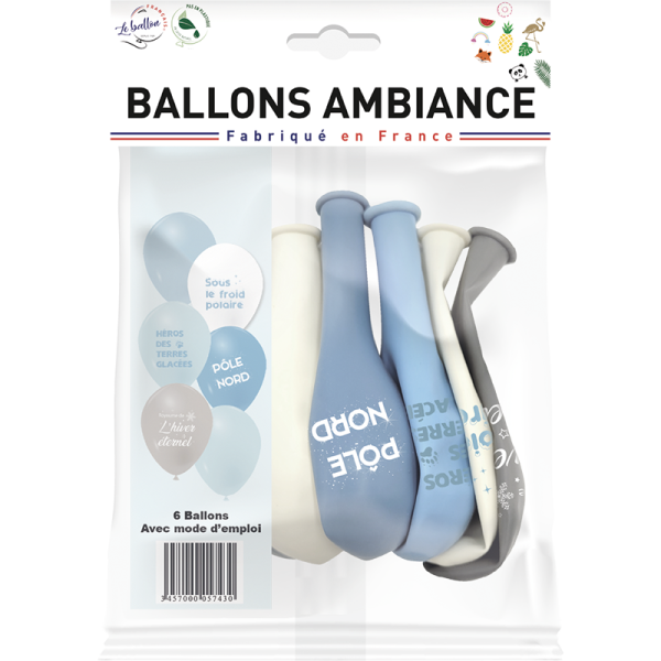 Ballons l'aventure polaire – Image 2