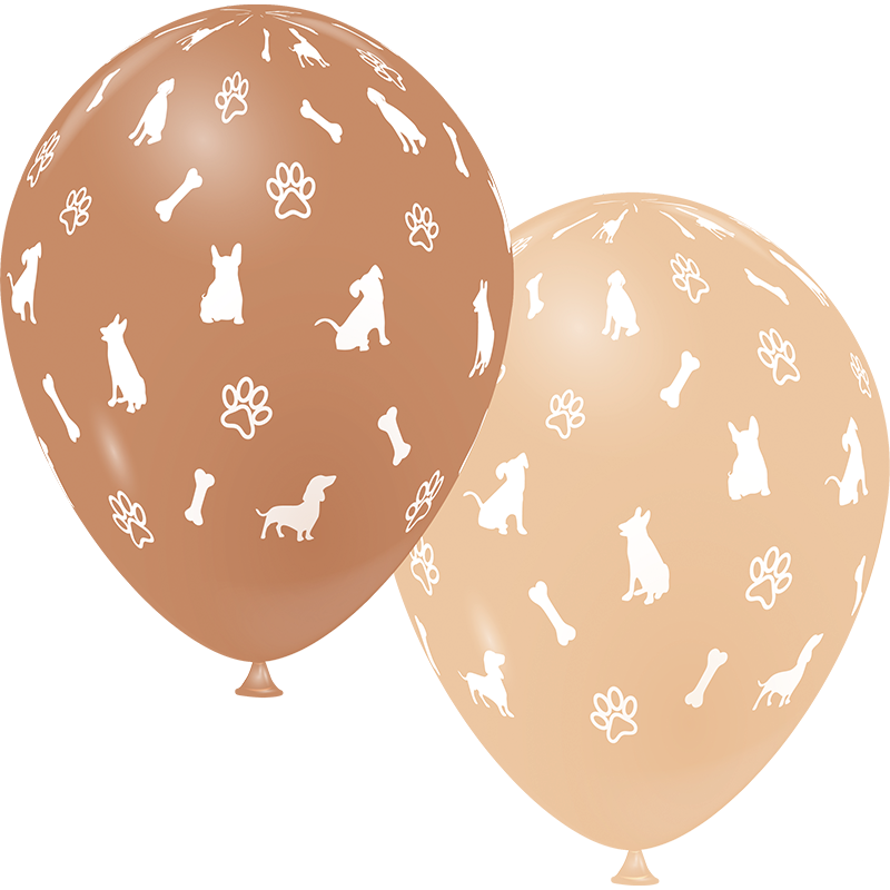Featured image for “Ballons les toutous”