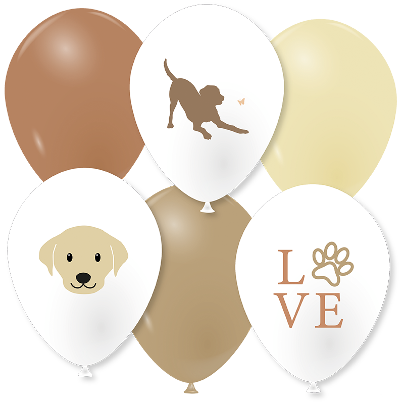 Featured image for “Ballons love dogs”