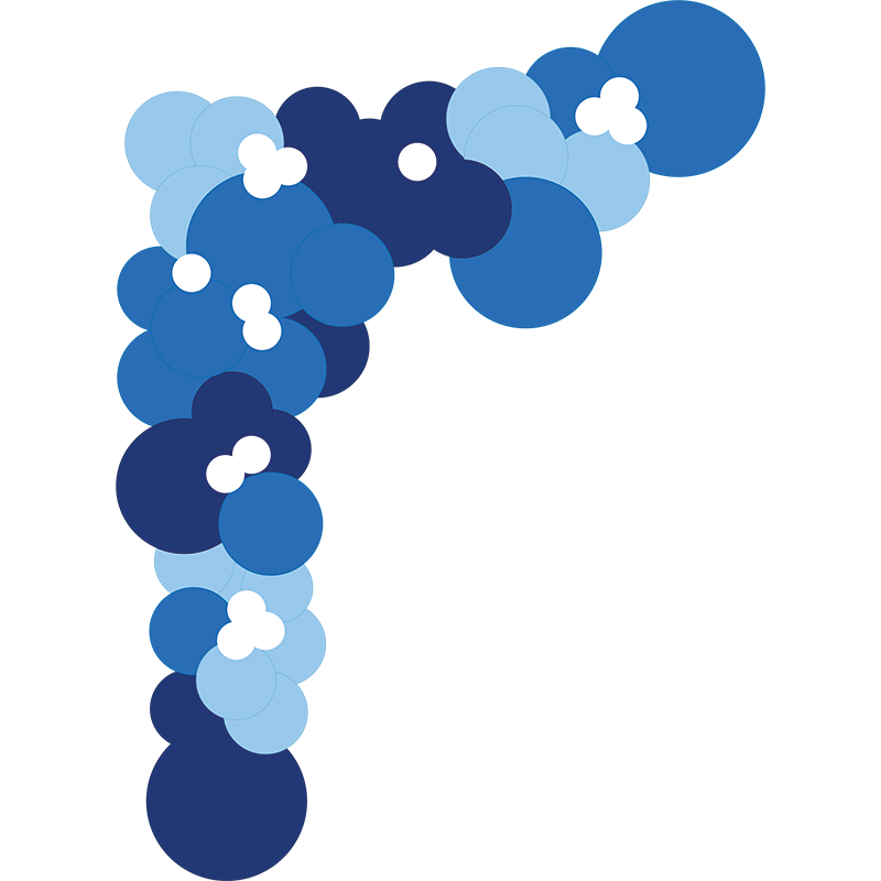 Featured image for “Guirlande organique blue power”