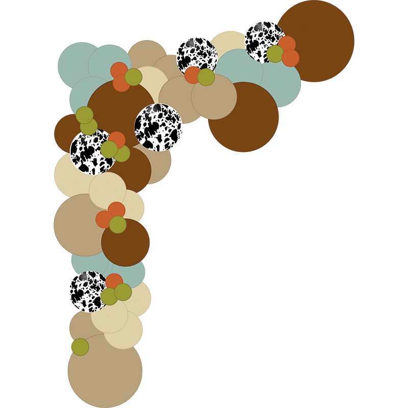 Featured image for “Guirlande organique western”