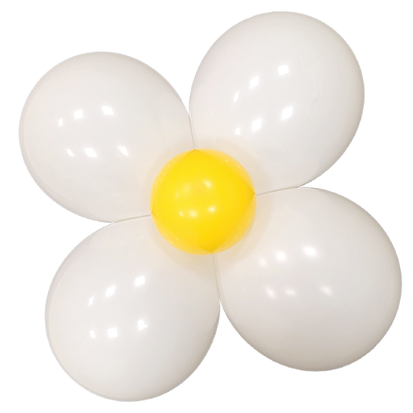 Kit marguerites