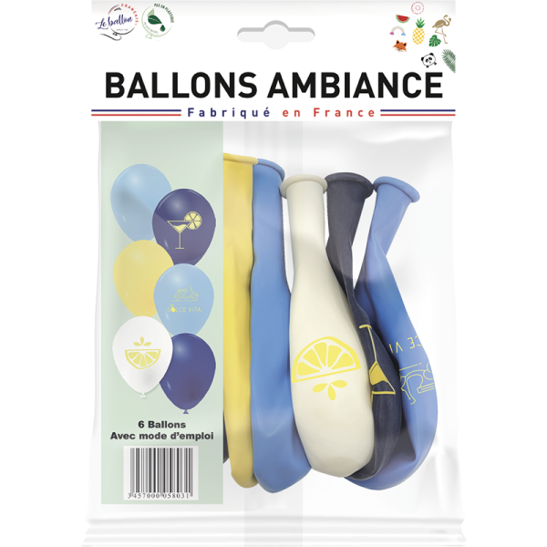Ballons le zeste de la vie – Image 2