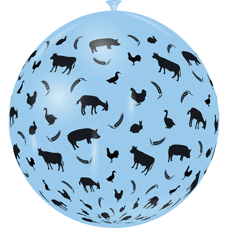 Featured image for “Ballon géant les amis de la prairie”