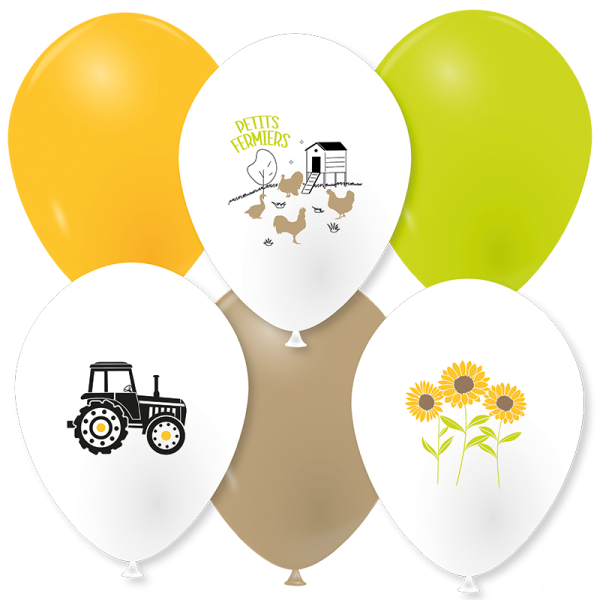 Ballons au fil des champs