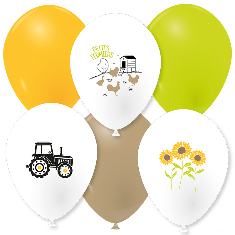 Featured image for “Ballons au fil des champs”