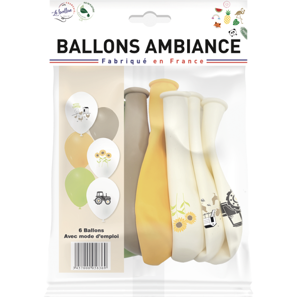 Ballons au fil des champs – Image 2