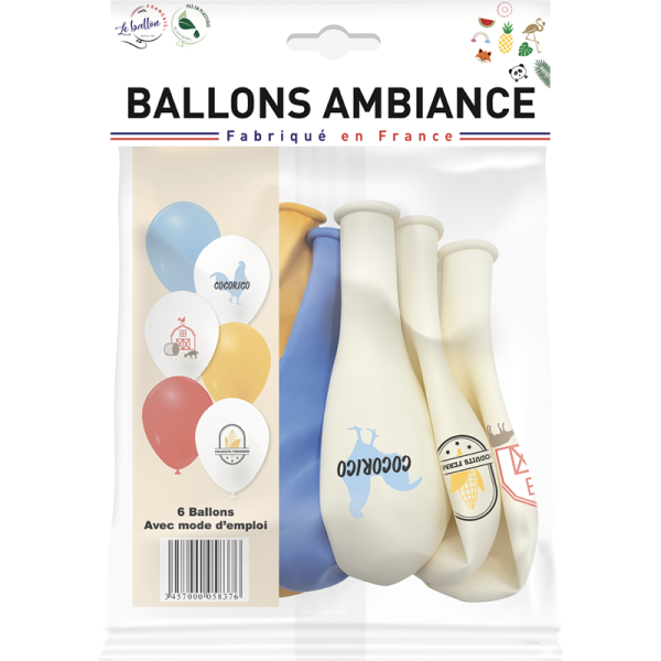 Ballons au coeur des récoltes – Image 2