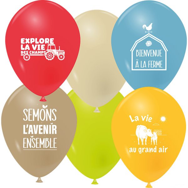 Ballons l'appel de la terre