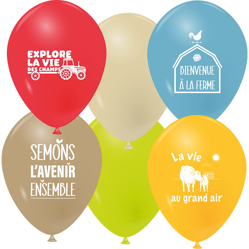 Featured image for “Ballons l'appel de la terre”