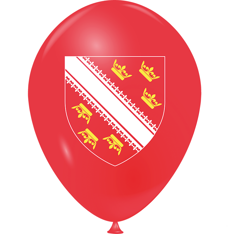 Featured image for “Ballon Alsace”