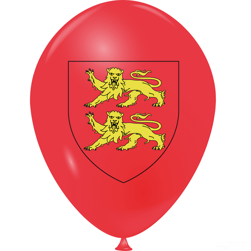 Featured image for “Ballon Normandie”