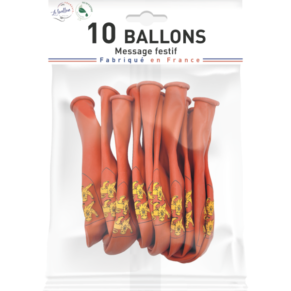 Ballon Normandie – Image 2