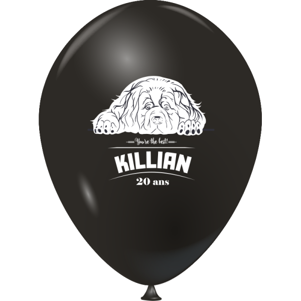 Ballon Ø 30/34 cm | 1 Face 1 Couleur | Mini 10 000 pièces